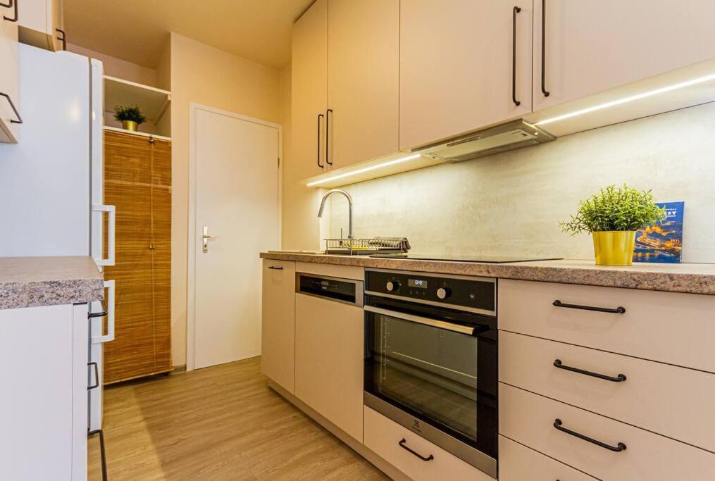 Roomy Apartment 80Sqm At City Center Free Parking Space, Ac & Balcony 布达佩斯 外观 照片