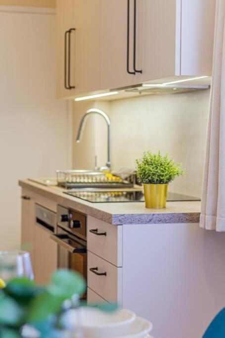 Roomy Apartment 80Sqm At City Center Free Parking Space, Ac & Balcony 布达佩斯 外观 照片