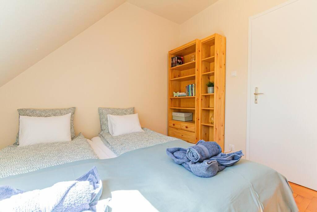 Roomy Apartment 80Sqm At City Center Free Parking Space, Ac & Balcony 布达佩斯 外观 照片