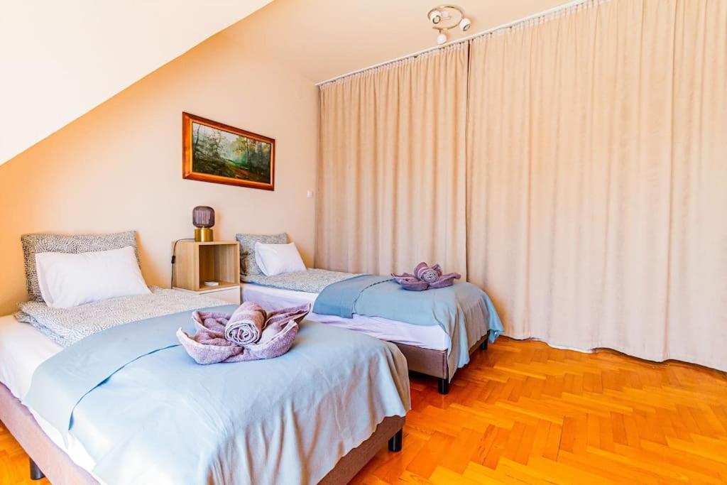 Roomy Apartment 80Sqm At City Center Free Parking Space, Ac & Balcony 布达佩斯 外观 照片