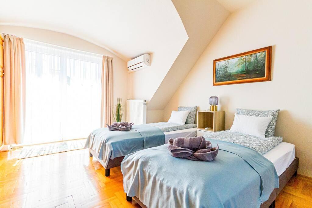 Roomy Apartment 80Sqm At City Center Free Parking Space, Ac & Balcony 布达佩斯 外观 照片
